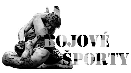 Tréningová stratégia Evandera Holyfielda