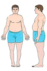 Endomorf